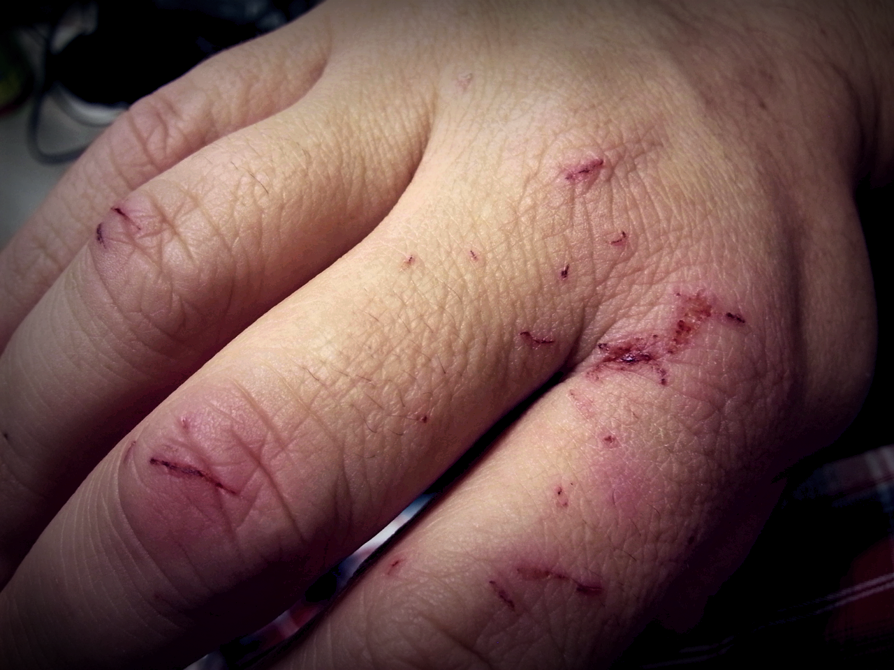 2015-09-16 00.53.40.png image